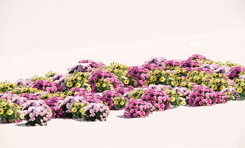 Modern Plant Flower Border Plant Group 3d model