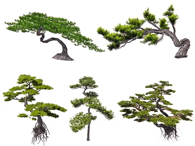Various Bonsai Style Trees With Curved Branches Lush Green Foliage And Exposed Roots 3d model