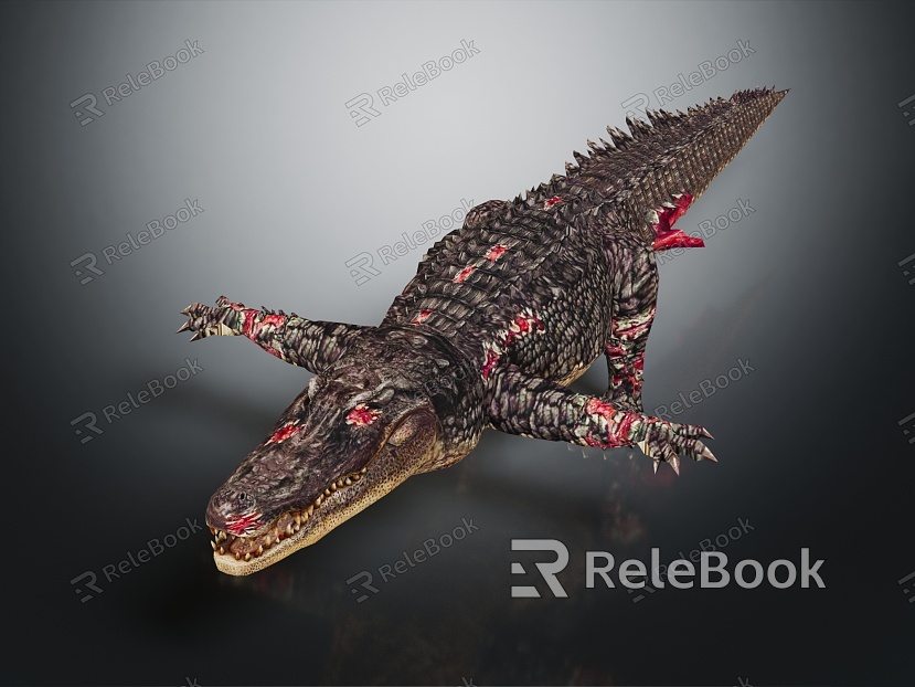 Modern Crocodile Alligator Alligator model