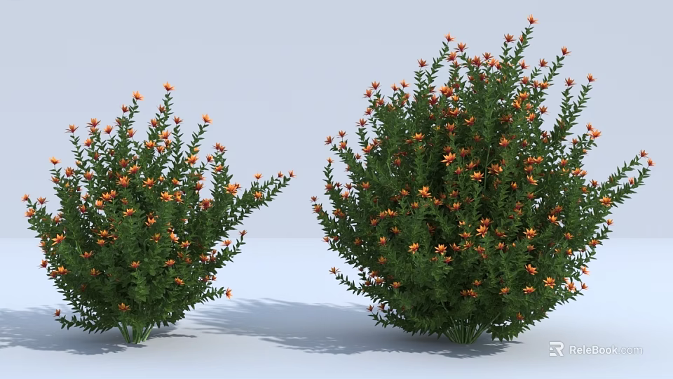Two Clusters of Lush Green Shrubs with Beautiful Orange Small Flowers 3d model 