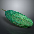 Fresh Green Bitter Melon Showing Raised Surface Texture and Slender Shape with Brown Stem 3d model