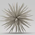 White Spiky Radial Design Ornament Decoration Set for Modern Home Decor Accent