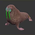 Realistic Walrus Model With Large Tusks And Detailed Body Texture On Black Surface