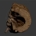 Natural Rustic Wooden Sculpture With Organic Shape And Intricate Wood Grain Details