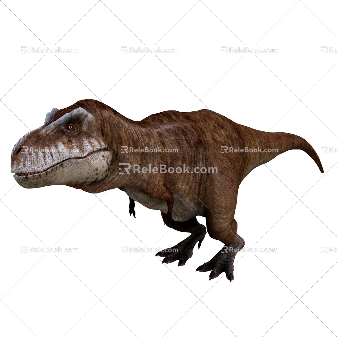 Dinosaurs 3d model