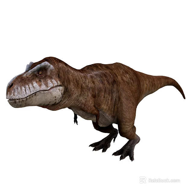Realistic Tyrannosaurus Rex Reptile With Brown Skin Sharp Teeth And Muscular Build Standing 3d model 