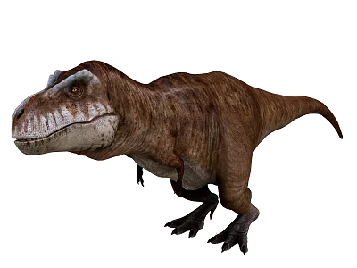 Realistic Tyrannosaurus Rex Reptile With Brown Skin Sharp Teeth And Muscular Build Standing 3d model