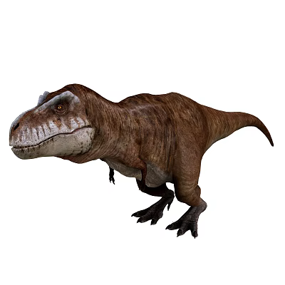 Realistic Tyrannosaurus Rex Reptile With Brown Skin Sharp Teeth And Muscular Build Standing 3d model