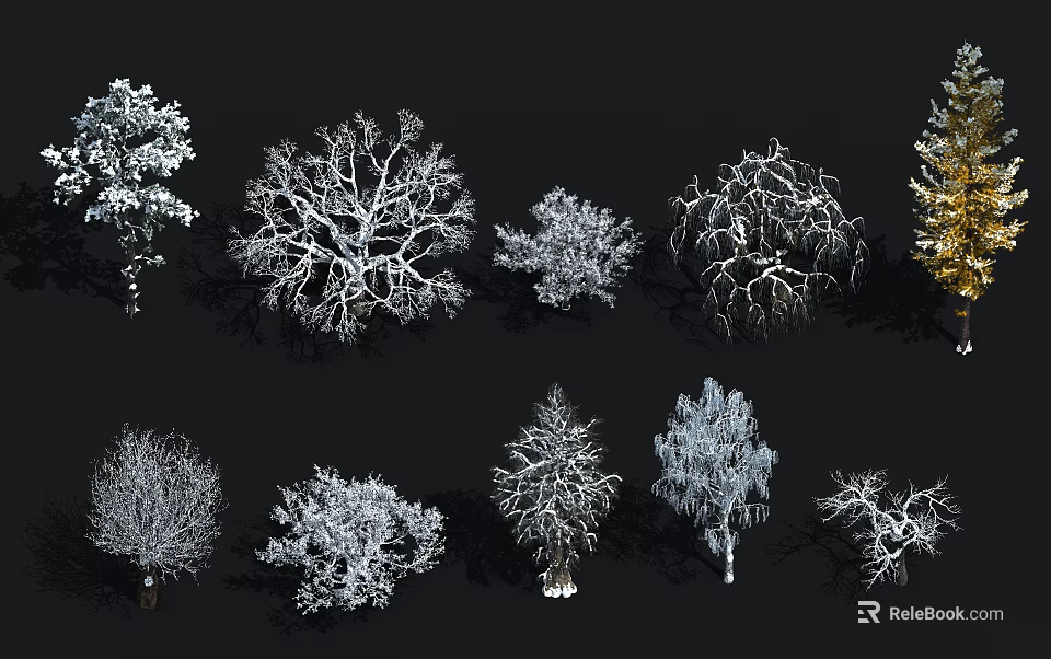 Various Arbor Trees 3D Models with Diverse Canopy Structures and Natural Shapes 3d model 