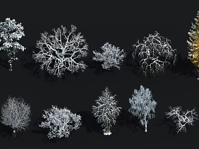 Various Arbor Trees 3D Models with Diverse Canopy Structures and Natural Shapes 3d model