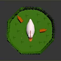 Cute Cartoon Duck Wearing Red Hat Standing on Lush Green Grass with Small Orange Object