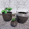 Three Garden Decorative Flower Pots With Green Plants Against Stone Wall And Paved Ground
