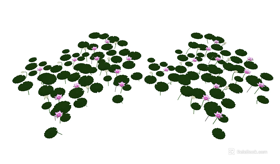 Green Lily Pads and Pink Lotus Flowers Floating on Calm Water Surface 3d model 