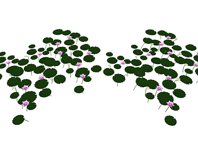 Green Lily Pads and Pink Lotus Flowers Floating on Calm Water Surface 3d model
