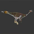 Detailed Building Blocks Dinosaur Model With Colorful Feathers And Articulated Body