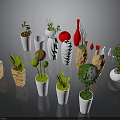 Colorful Decorative Vases With Green Plants In Different Shapes And Sizes
