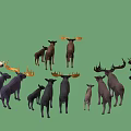 Group of Moose with Various Sizes Different Colors and Yellow Dark Antlers on Green Background