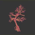 Natural Wood Tree Sculpture With Intricate Branches And Stone Base Design