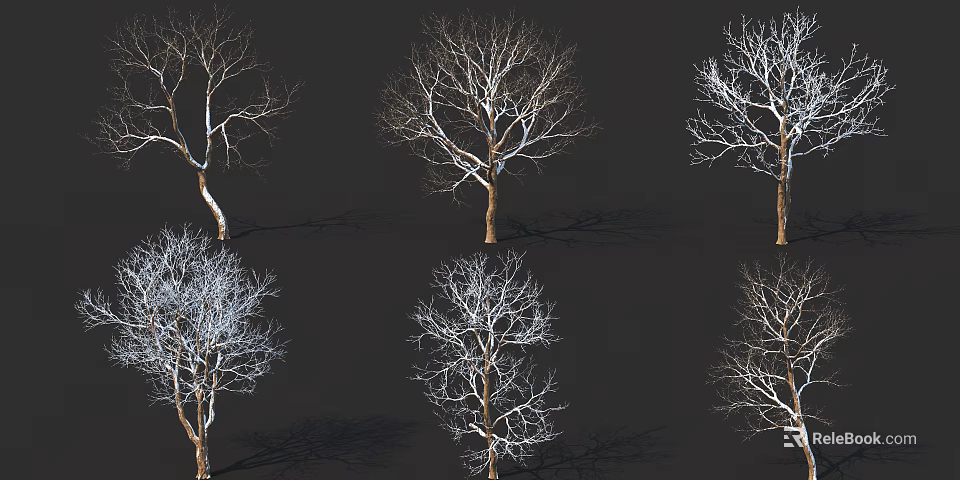 Leafless Arbor Trees With Snow Covered Branches On Dark Background Arranged In Grid 3d model 
