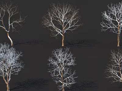 Leafless Arbor Trees With Snow Covered Branches On Dark Background Arranged In Grid 3d model