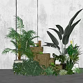 Lush Indoor Potted Plants Arrangement With Various Green Species And Stone Containers