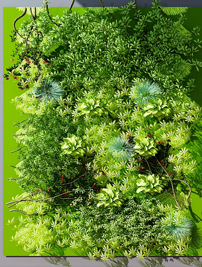 Lush Vertical Living Plant Wall With Diverse Green Foliage And Red Berries 3d model