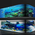 Large Aquariums With Underwater Scenery Coral Reef Tropical Fish And Dolphins
