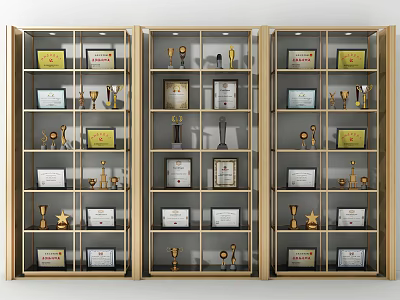 Trophies Medals And Certificates Showcased In Wooden Display Cabinets With Shelves 3d model