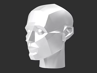 Advanced Head Structure Facial Portrait Painting 3d model