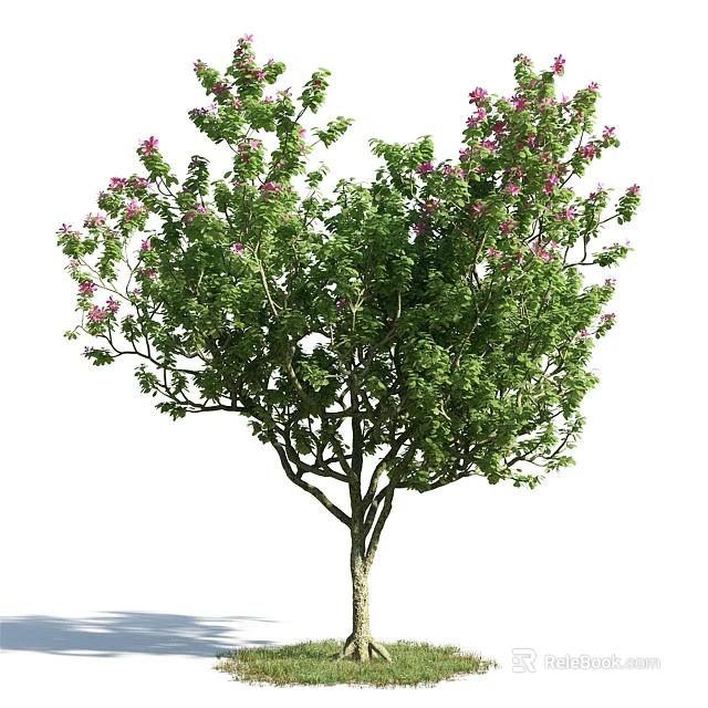 Lush Arbor with Green Leaves and Pink Blossoms on Sturdy Trunk and Branches 3d model 