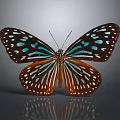 Modern Butterfly Colored Butterfly Tabby Butterfly Leaf Butterfly 3d model