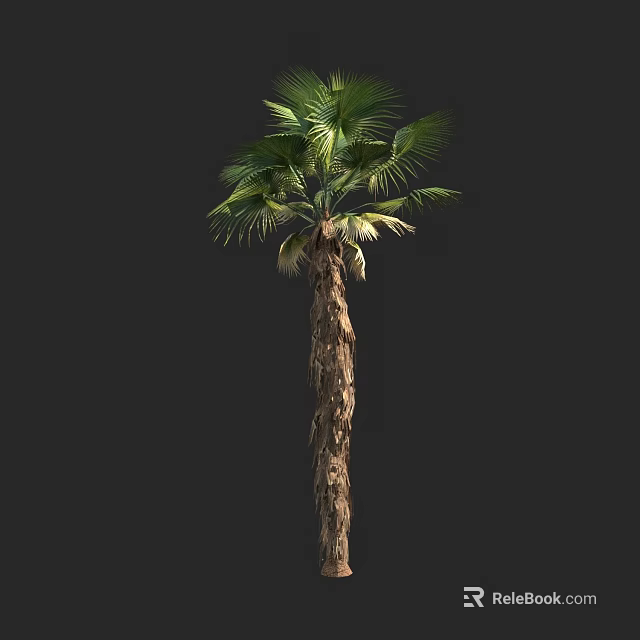 Tall Palm Tree With Green Fronds And Textured Trunk Natural Form 3d model 