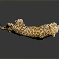 Yellow Leopard Figurine With Black Spots In Standing Pose On Black Background 3d model