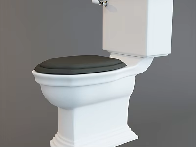 White Toilet with Black Seat Contemporary Design and Sturdy Base for Home Bathroom 3d model