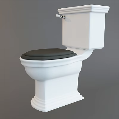 White Toilet with Black Seat Contemporary Design and Sturdy Base for Home Bathroom 3d model