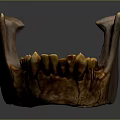 3D Rendered Detailed Game and Movie Character Skeleton Jawbone With Brown Orange Teeth Structure