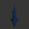 Realistic Blue Shark Model With Smooth Surface And Dark Background Reflection 3d model