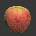 Fresh Ripe Red And Yellow Apple With Shiny Smooth Skin And Juicy Flesh