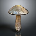 Shiny Metallic Mushroom With Glossy Cap And Stem On Dark Background