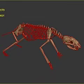 Detailed Animal Skeleton 3D Model With Anatomical Structure On Dark Background 3d model