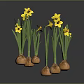Fresh Onion Bulbs With Green Leaves And Yellow Flowers On Grey Background
