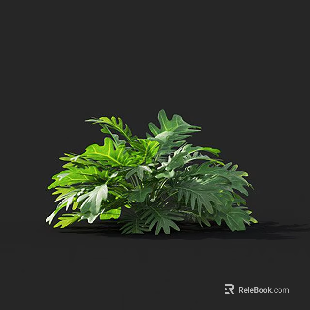 Vibrant Green Fern Plant With Large Lush Leaves On Black Background 3d model 