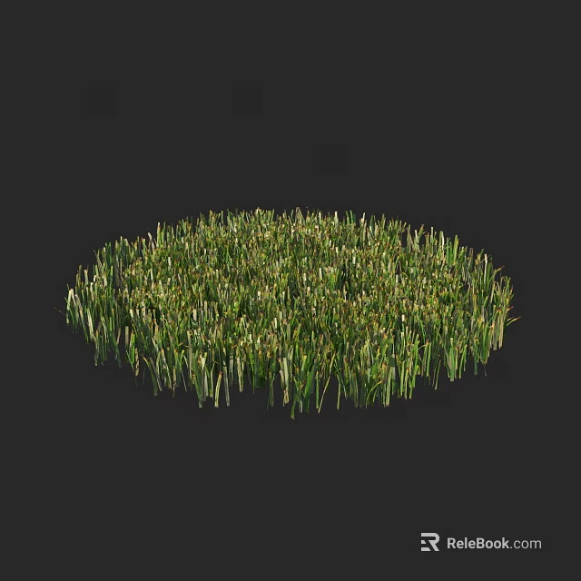 Lush Green Grass in Round Shape with Natural Texture on Dark Background 3d model