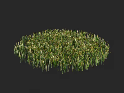 Lush Green Grass in Round Shape with Natural Texture on Dark Background 3d model