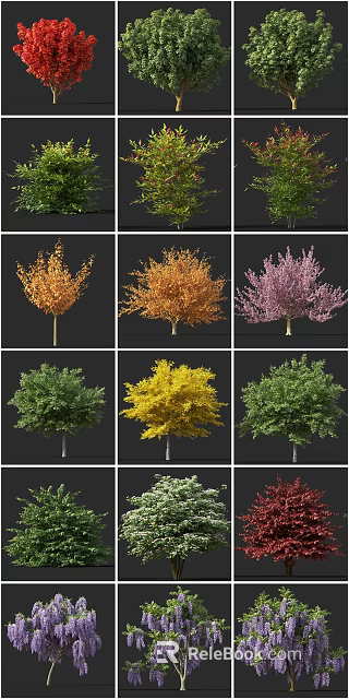 Diverse Arbor Trees With Various Colored Foliage Shapes And Sizes For 3d model
