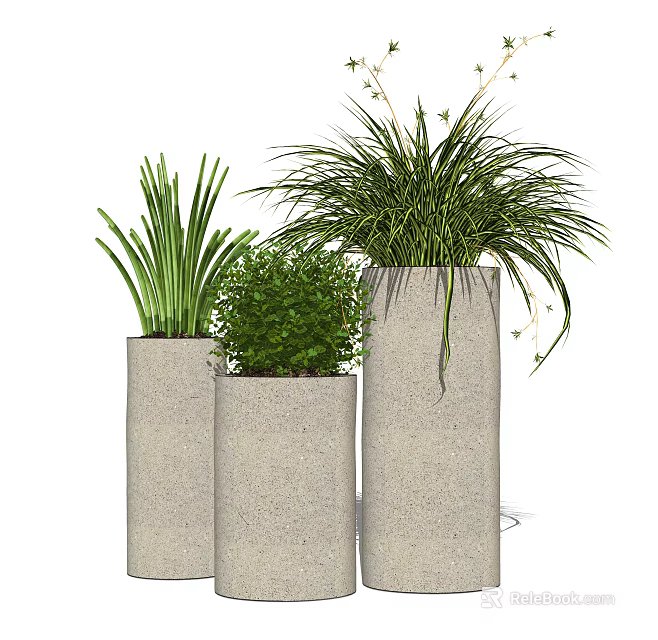 Three Modern Concrete Planters With Potted Green Bonsai Foliage Plants 3d model 