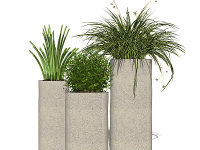 Three Modern Concrete Planters With Potted Green Bonsai Foliage Plants 3d model
