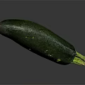 Fresh Green Zucchini Whole Ripe Vegetable with Smooth Skin on Dark Reflective Surface