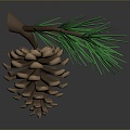 pine cone plant 3d model