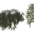 Tall Arbor Display With Weeping Willow And Birch Tree Green Foliage 3d model